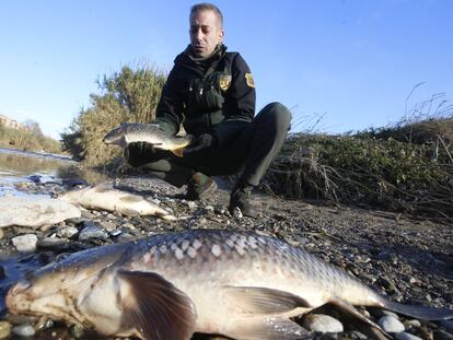 La Fiscalía acusa de delito ambiental a los directivos de la química que provocó la contaminación del río Besòs