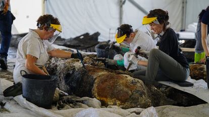 Técnicas del Centro de Arqueología Subacuática de Cádiz (CAS) del IAPH extraen los restos de cañones y piedras que servían de lastre al 'Delta I', el pecio del XVII reflotado en el puerto. 