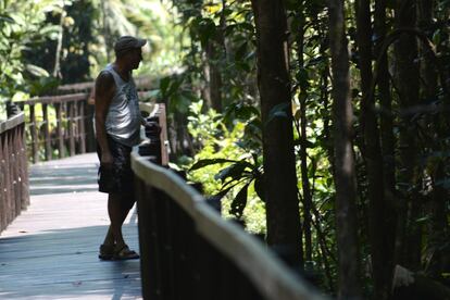 En Cahuita se han anticipado al avance del mar construyendo una pasarela de madera que atraviesa el centro del bosque y que da una nueva perspectiva del parque que los visitantes antiguamente no tenían. La ruta tradicional para ver el parque será intransitable en unos años. 