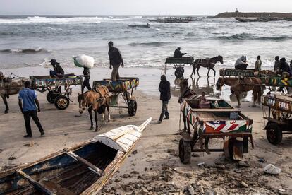 Alrededor del 40% de la población vive con menos de 1,9 dólares (1,7 euros) al día en Senegal, según el Banco Mundial. En comparación, un carretero puede ganar el equivalente a entre siete y 10 euros por día, dicen varios de ellos. Pero su vida es dura. "Es muy difícil", cuenta Mame Mor Anta Ly, quien dice que se gasta 3,7 euros diarios "solo en alimentar al caballo".