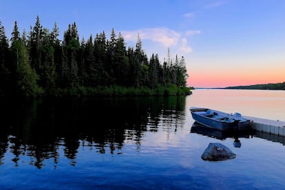 El retorno de la naturaleza salvaje: Isle Royale (Lago Superior, Michigan, EE UU). Esta isla de los Grandes Lagos, entre Estados Unidos y Canadá, nunca ha sido una isla solitaria. A la extracción de cobre por parte de los nativos americanos durante siglos le siguió la pesca comercial y la construcción de centros turísticos de veraneo para las familias ricas de Chicago. A pesar de esto, la remota isla, escondida en la esquina noroeste del lago Superior, conserva su belleza salvaje gracias en gran parte a los conservacionistas que ayudaron a que Isle Royale se convirtiera en parque nacional en abril de 1940. Los densos bosques y el regreso de la vida silvestre sirven como poderosos símbolos del rejuvenecimiento de la naturaleza. Los leñadores y los golfistas han sido reemplazados por alces, castores y el escurridizo lobo, junto con unas 150 especies de aves. Hoy, alrededor del 99% de su territorio está catalogado como área silvestre, con más de 270 kilómetros de senderos y costas aparentemente interminables que atraen a excursionistas y ‘kayakistas’ ansiosos por experimentar su encanto.
Mágicos resultan por ejemplo el puerto de Tobin, donde ver alces en un día de suerte. También podremos bucear en las aguas que rodean la isla, entre pecios de naufragios importantes, o practicar el senderismo por el Greenstone Ridge (64 kilómetros) sobre la columna vertebral de la isla, con magníficas vistas al lago Superior
Mágicos resultan por ejemplo el puerto de Tobin, donde podremos espiar alces en un día de suerte. También podremos bucear en las aguas que rodean la isla, entre pecios de naufragios importantes, o practicar el senderismo por el Greenstone Ridge (64 kilómetros) sobre la columna vertebral de la isla, con magníficas vistas al lago Superior.
