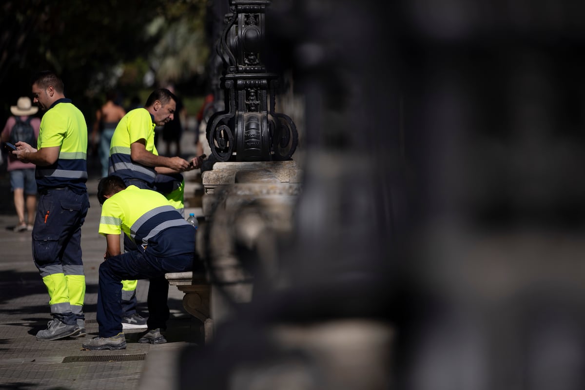 Men in work in Spain reach a new high after 19 years