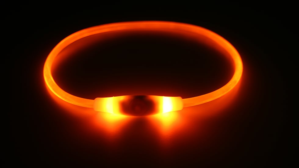 Collar luminoso para perros de la marca PetSol.