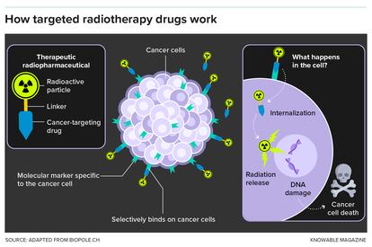 This graphic describes the basics of radiopharmaceuticals.