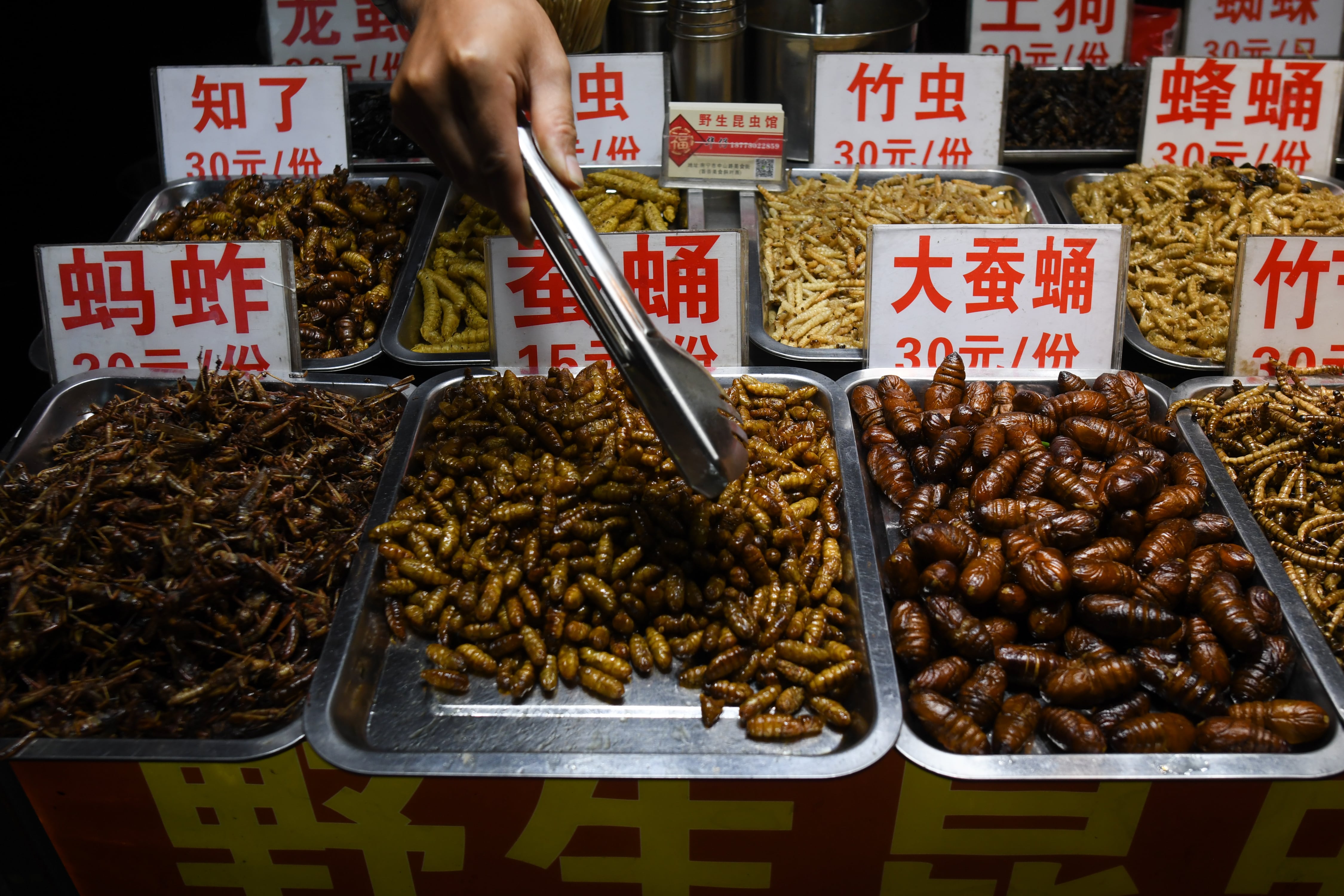 El asco de los europeos para incluir insectos en su dieta viene de lejos y es biológico