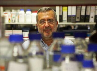 Javier Benítez, director del Programa de Genética del Cáncer, en el laboratorio del CNIO.