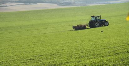 Un agricultor con su tractor en Torrelaguna (Madrid)