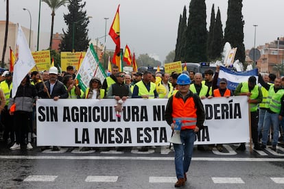 Agricultores durante la manifestación convocada este lunes en la capital hispalense que ha comenzado en el entorno del Estadio Benito Villamarín hasta llegar a la Subdelegación del Gobierno, en la Plaza de España.