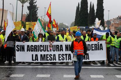 Agricultores de municipios sevillanos durante la manifestación del pasado lunes en la capital hispalense.