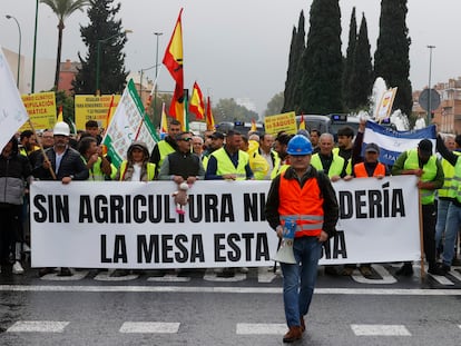 Agricultores de municipios sevillanos durante la manifestación del pasado lunes en la capital hispalense.