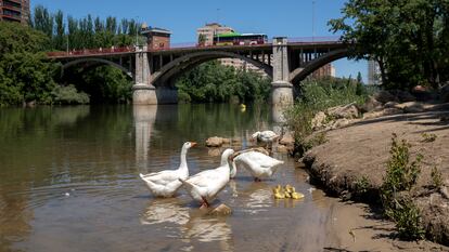 Vista desde el río Pisuerga del puente de Poniente en Valladolid, el 24 de mayo.