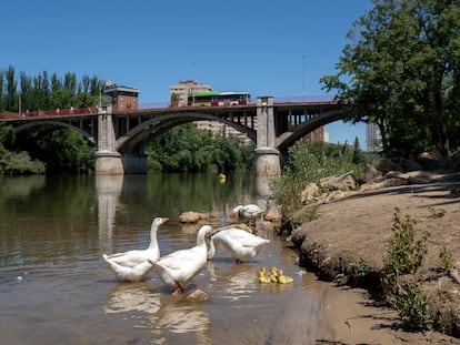 Vista desde el río Pisuerga del puente de Poniente en Valladolid, el 24 de mayo.