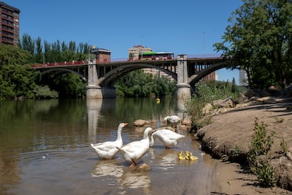 Vista desde el río Pisuerga del puente de Poniente en Valladolid, el 24 de mayo.