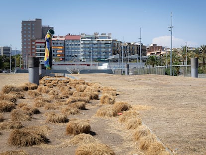 El césped del parque Joan Miró de Barcelona, completamente seco, este lunes.