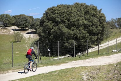 Un ciclista pasando al lado del vallado de la finca Romanillos.