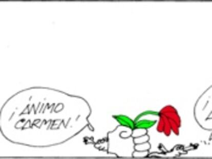 Chacón irrumpe en la lucha abierta por el poder para liderar el PSOE