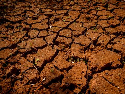 Terra rachada pela seca no local onde ficava um açude em Fernandópolis (SP).