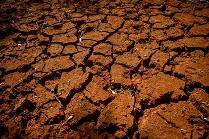 Terra rachada pela seca no local onde ficava um açude em Fernandópolis (SP).