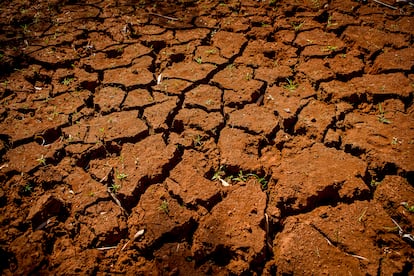 Terra rachada pela seca no local onde ficava um açude em Fernandópolis (SP).