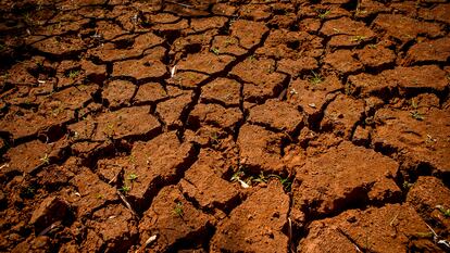 Terra rachada pela seca no local onde ficava um açude em Fernandópolis (SP).