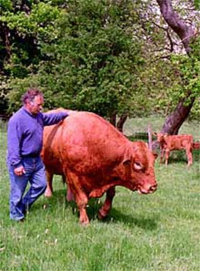 Un granjero posa con uno de sus toros en sus tierras.