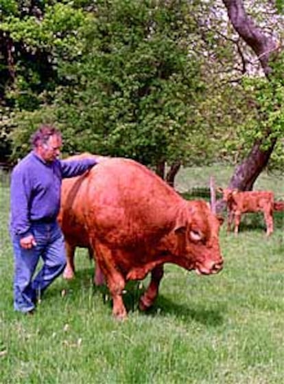 Un granjero posa con uno de sus toros en sus tierras.