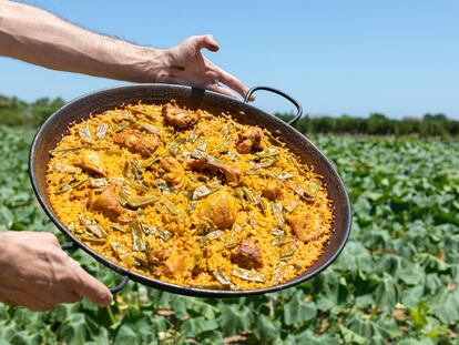 Paella valenciana típica.