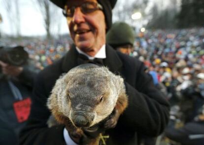Phil, la famosa marmota que predice el tiempo en Pensilvania.