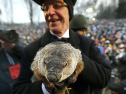 Phil, la famosa marmota que predice el tiempo en Pensilvania. 