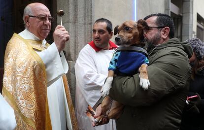 El padre Ángel, fundador de la ONG Mensajeros de la Paz y párroco de San Antón, ha sido uno de los principales protagonistas junto a las mascotas ya que no han sido pocos los feligreses que han pedido un "bendígame a mi también, padre" y hacerse una foto con él.