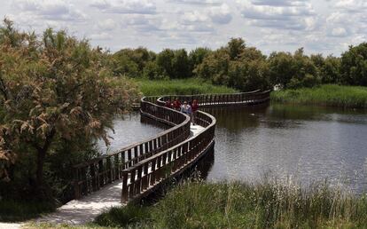 Pasarela para acceder a la Isla del Pan. Se construyeron 1,5 kilómetros de pasarelas de madera para unir una serie de islas.