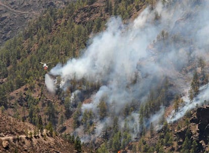 Un helicóptero descarga agua sobre las llamas del incendio de Gran Canaria.