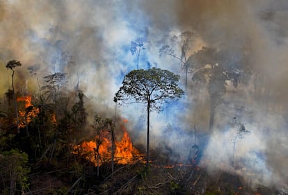 Chamas de uma queimada ilegal se alastram pela Amazônia, em agosto de 2020.