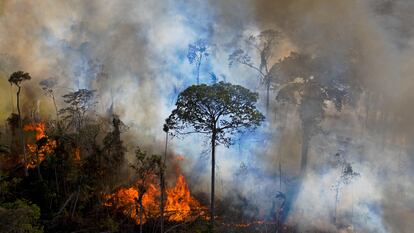 Chamas de uma queimada ilegal se alastram pela Amazônia, em agosto de 2020.