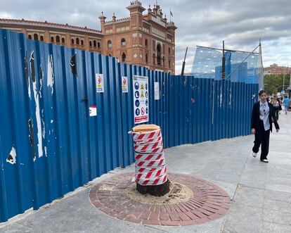 Un árbol recién talado por las obras de reforma en la explanada de la plaza de toros de Ventas.