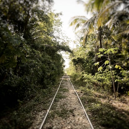 Vía ferroviaria por donde pasará el Tren Maya en el municipio de Tenosique, Tabasco.  
