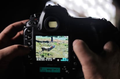 El fotógrafo comprueba en la pantalla de la cámara las fotografías obtenidas  tras una larga pero fructífera espera.