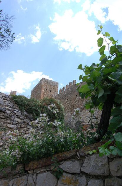 Vista del castillo de la localidad