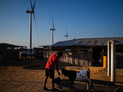 El viento de la transición energética lleva disputas a La Guajira colombiana