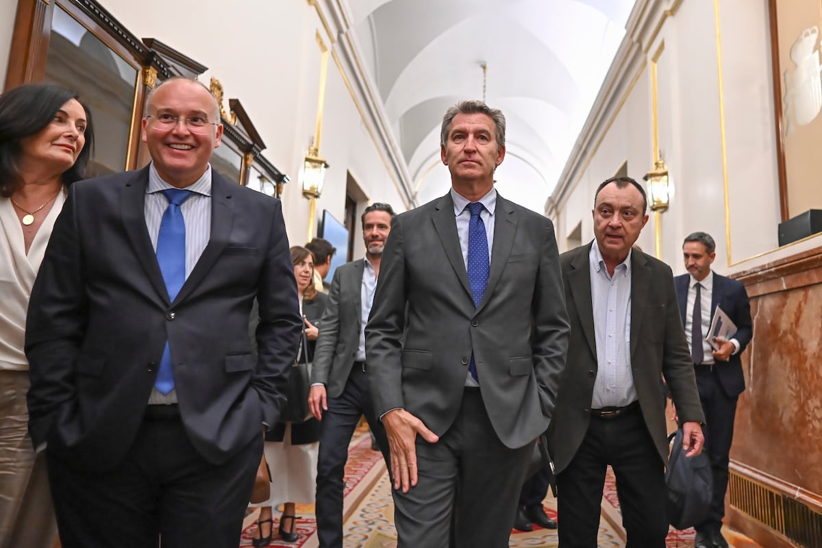 El otoño del eterno candidato (Feijóo)