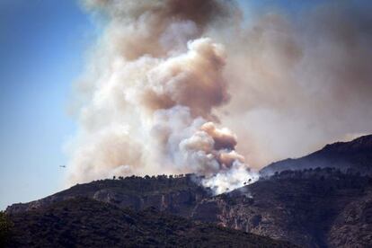 Incendio forestal en la comarca de la Terra Alta de Tarragona.