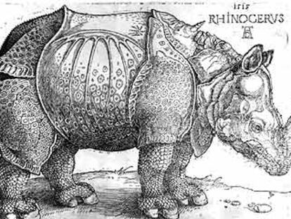 <i>Rinoceronte </i>(1515), grabado de Alberto Durero.