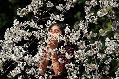 Uma mulher desfruta do cheiro das cerejeiras em flor em um parque em Washington, em 23 de março de 2016.