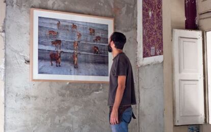 Inauguración de PHotoEspaña Lisboa en la galería Carpe Diem, instalada en el céntrico palacio del Marqués de Pombal.