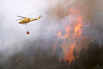 Un helicóptero descarga agua sobre el incendio forestal en Tenerife Norte, el 23 de julio.