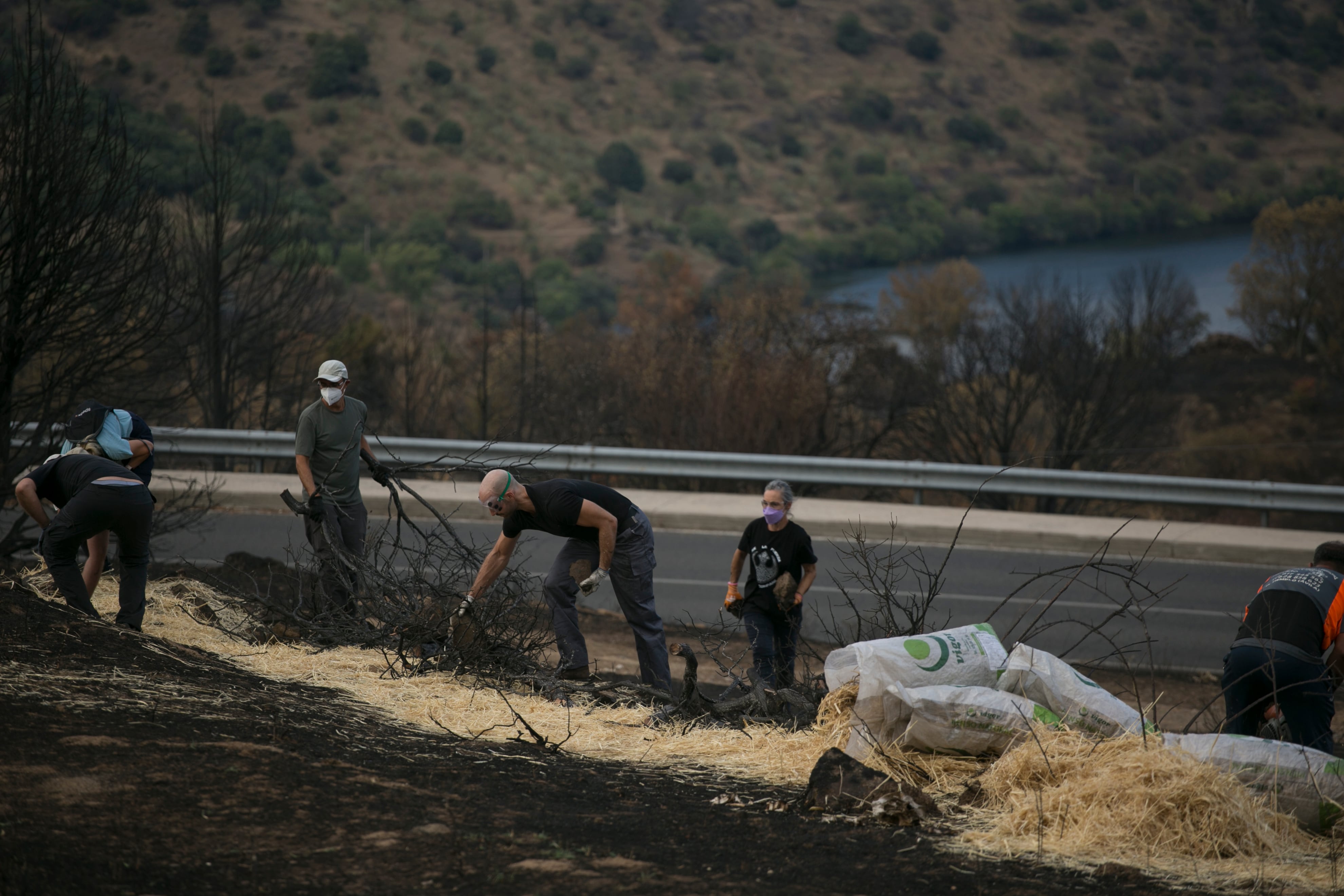 Voluntarios trabajando y al fondo la Charca del Cura, el pequeño embalse del que beben los veicnos de El Tiemblo y Cebreros. 