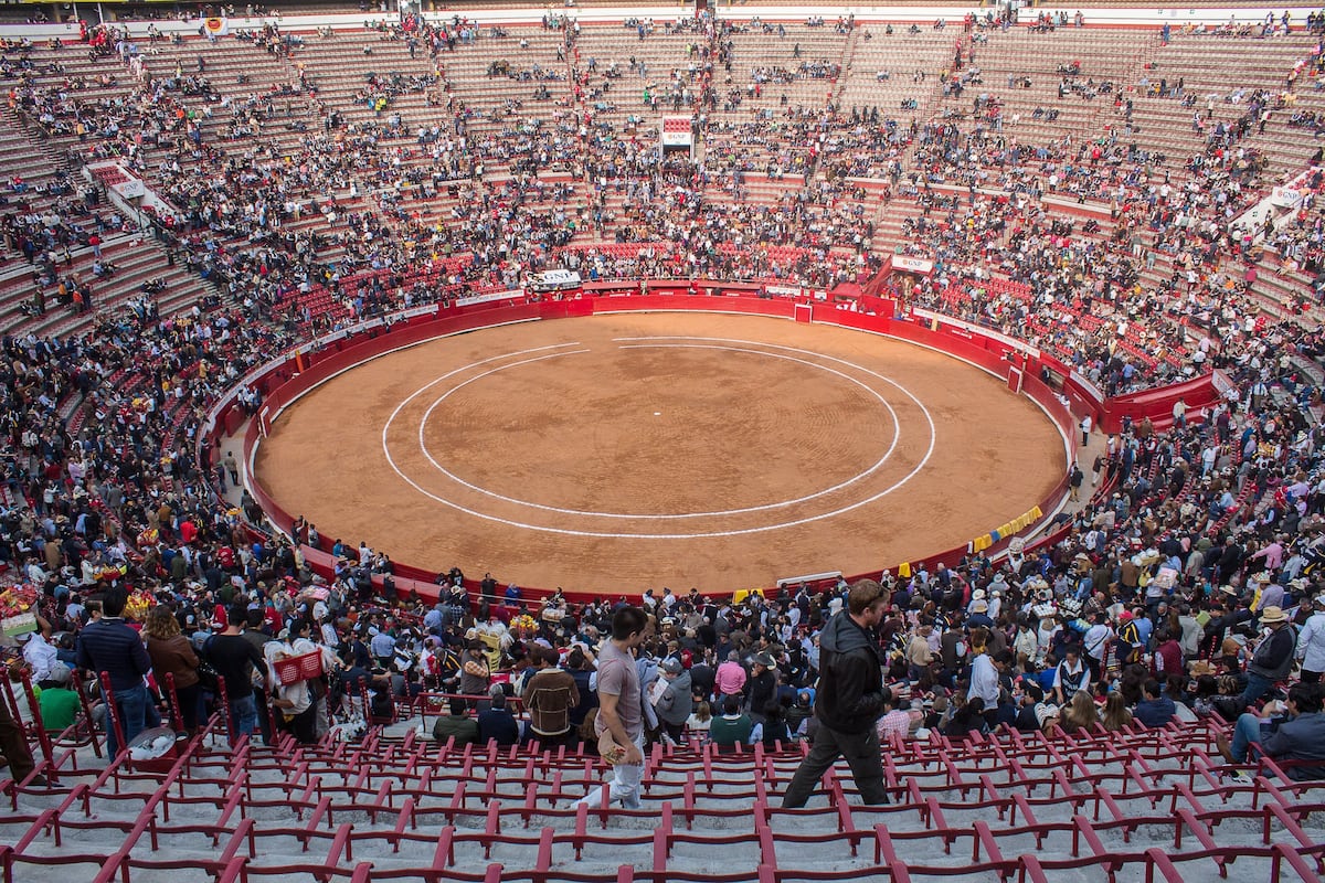 Las corridas de toros tienen dada la puntilla y México no es la excepción |  EL PAÍS México