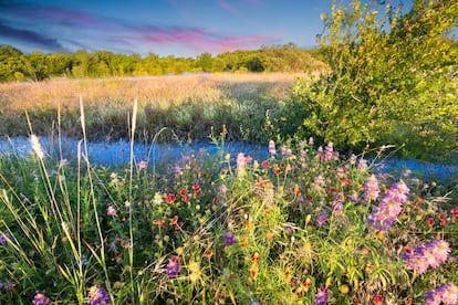 El otoño es una segunda primavera, un momento en el que las plantas retoman su crecimiento después del parón del verano.