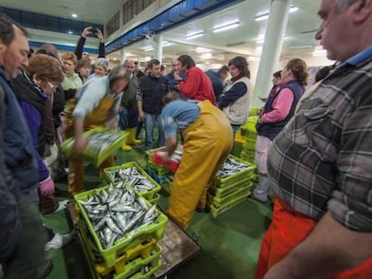 Subasta de pescado en la lonja viguesa de O Berb&eacute;s