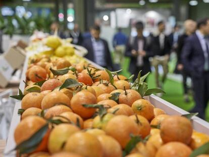 Exposición de frutas en un estand de Fruit Attraction 2019.